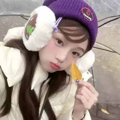 公凡梦